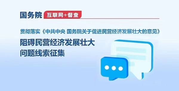 國務院互聯網+督查